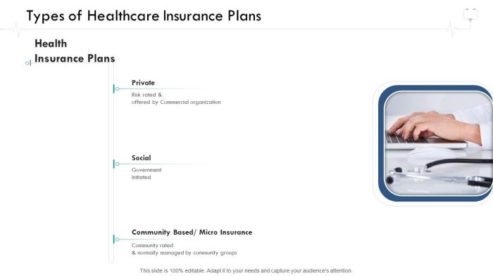 Wellness Management Types Of Healthcare Insurance Plans Ppt Pictures ...